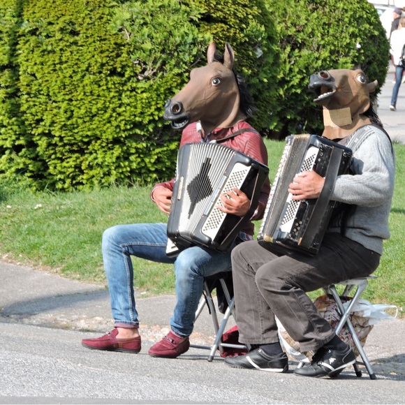 Meet your Posher, Paula - Picture 4 of 6